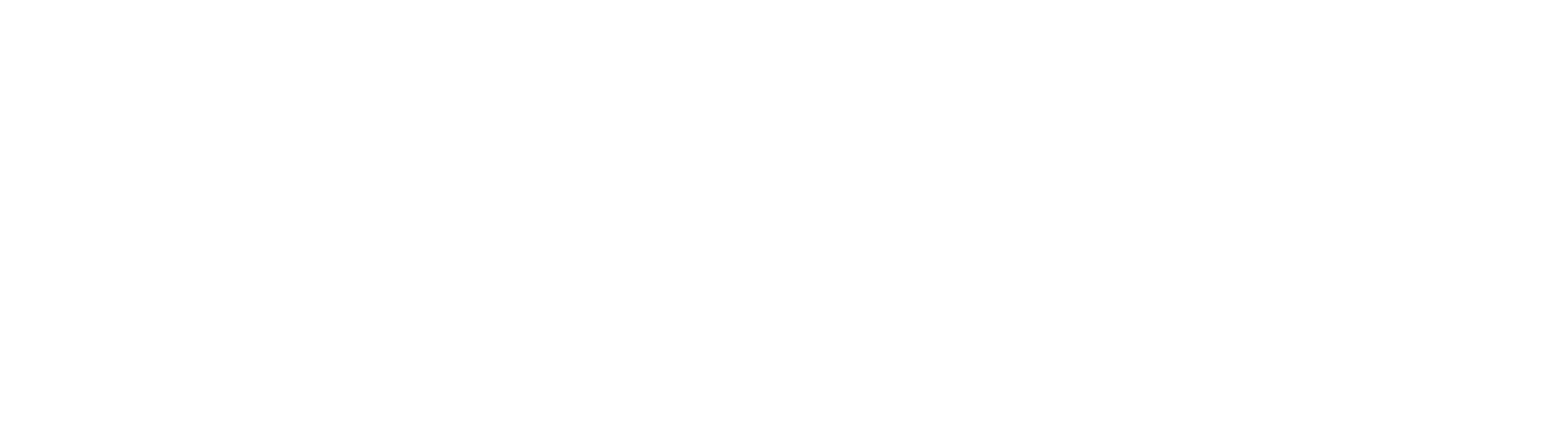 Ethiopian Diaspora Service Logo